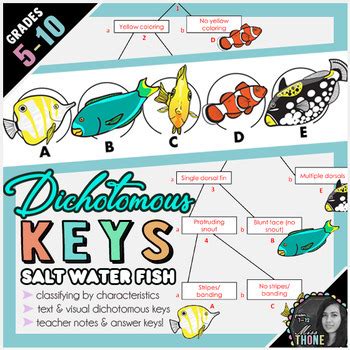 15 downloads 296 views 294kb size. Dichotomous Keys Salt Water Fish by Jadyn Thone | TpT
