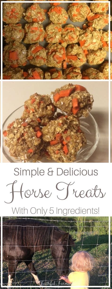 Diy Horse Treats Without Molasses Homemade Horse Treats Without