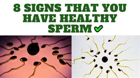 8 Signs Of Healthy Semen And Sperm Signs That You Have Healthy Sperm Youtube