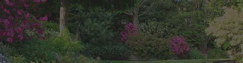 Tripadvisor has 185 reviews of weilerswist hotels, attractions, and restaurants making it your best weilerswist tourism resource. Gartengestaltung | D&R Machnik Meisterbetrieb ...