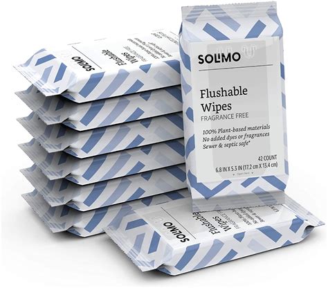 Solimo Flushable Fragrance Free Wet Wipes For Adults 8 Pack