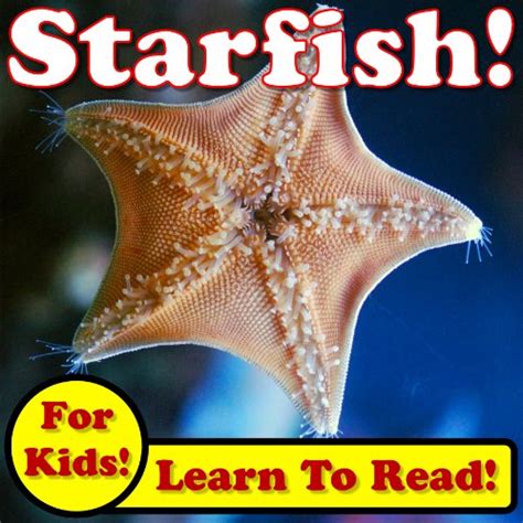 Starfish Facts For Kids