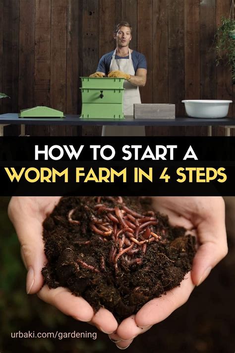 How To Start A Worm Farm In 4 Steps Vermiculture Made Easy Worm