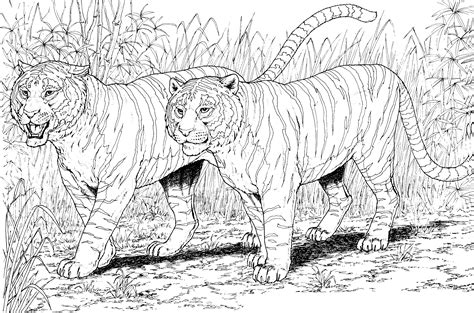 Tiger Animal Coloring Pages - Coloring Home