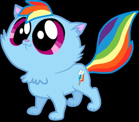 Rainbow Dash Cat By Fj C On Deviantart