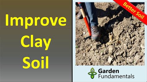 Improve Heavy Clay Soil Youtube