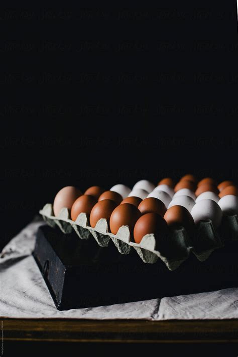 Eggs Arrangement By Stocksy Contributor Marija Savic Stocksy