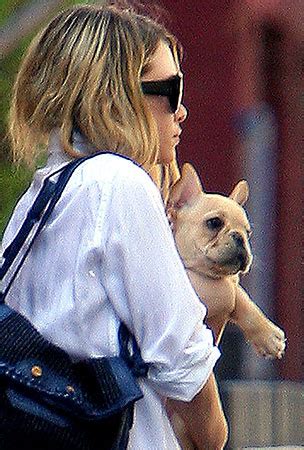 Check spelling or type a new query. Famous French Bulldogs - Celebrity French Bulldog Owners
