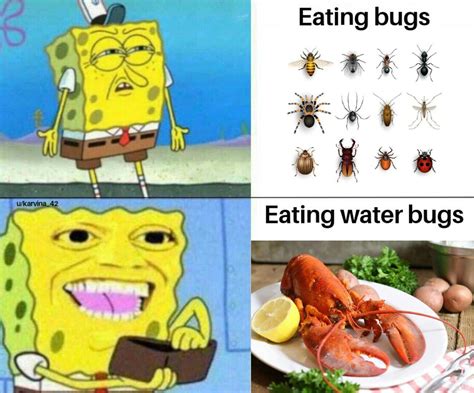 Mmm Water Bugs Spongebob Squarepants Know Your Meme
