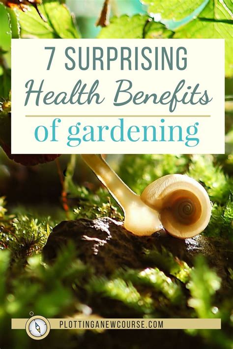 7 Surprising Health Benefits Of Gardening With Images Benefits Of