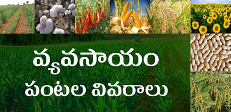 Vyavasayam Telugu Agriculture - Apps on Google Play