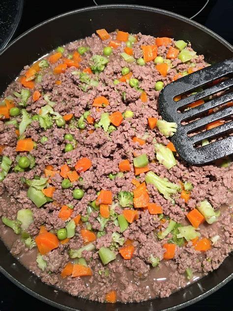 Add all veggies to meat and stir to combine. 3 Easy Vet Approved Homemade Dog Food Recipes | House That ...