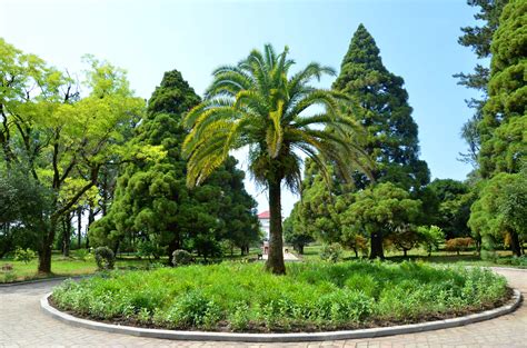 Batumi Botanical Garden • Discover The Worlds Subtropical Flora