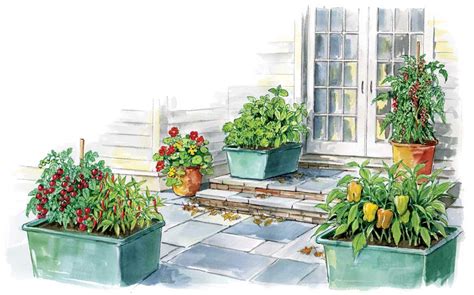She is dedicated to growing ornamental edibles and has been a guest chef on pbs's victory garden, and hgtv's garden smarts, where she is known as the baroness of basil. Container Gardening With Vegetables and Herbs - Organic ...