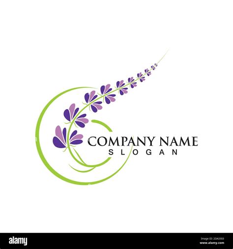 fresh lavender flower logo vector flat design stock vector image and art alamy