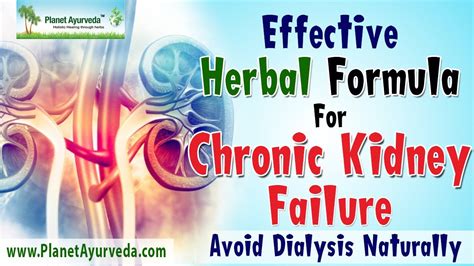 Effective Herbal Formula For Chronic Kidney Failure Avoid Dialysis