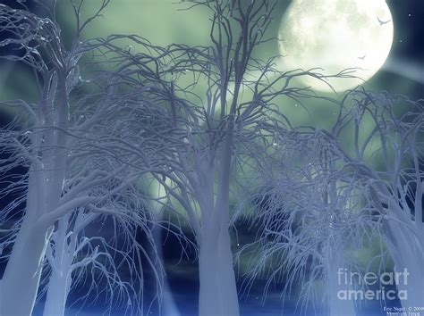 Moonlight Forest Digital Art By Eric Nagel Fine Art America