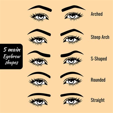 How To Shape Your Eyebrows Get Perfectly Shaped Eyebrow Look