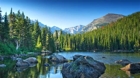 Wallpaper Trees Landscape Forest Mountains Lake Water Nature