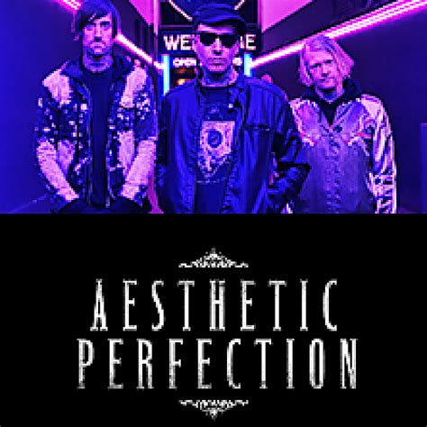 Na stadionie śląskim odbywają się ponadto koncerty muzyczne (wówczas obiekt ten jest w stanie pomieścić nawet 85 000 fanów muzyki). AESTHETIC PERFECTION w Warszawie - 24.04.2021 - bilety