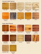 Types Of Wood Colors Pictures