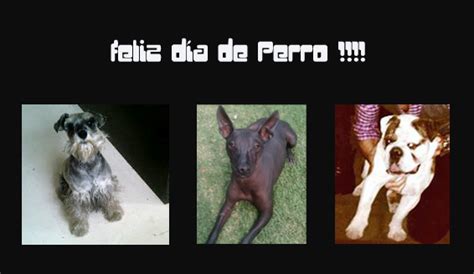 Cada 21 de julio es el día mundial del perro, fecha en que se homenajea este ser de cuatro patas que por muchos años, ha sido considerado el mejor amigo del hombre. Rullinatic@s: # SEBASTIAN RULLI EN EL DÍA DEL PERRO 21 DE ...