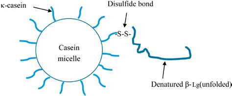 A zwitterion is a molecule with functional groups, of which at least one has a positive and one has a negative electrical charge. Polymers | Free Full-Text | Milk Protein Polymer and Its Application in Environmentally Safe ...