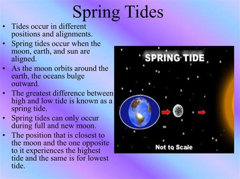 Ppt Tides And Eclipses Powerpoint Presentation Free Download Id501249