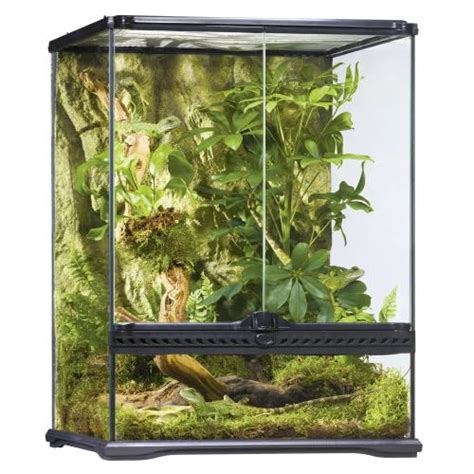 Best Crested Gecko Enclosure Here Are Some Good Options For You
