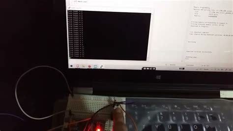 Demo STM32 Blue Pill Timer In Counter Mode With STM32Cube IDE And HAL