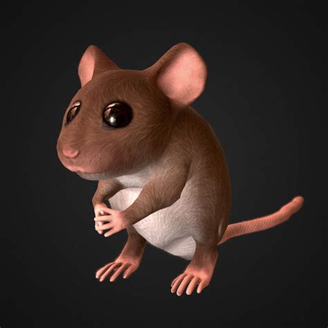 D Mouse Animations TurboSquid