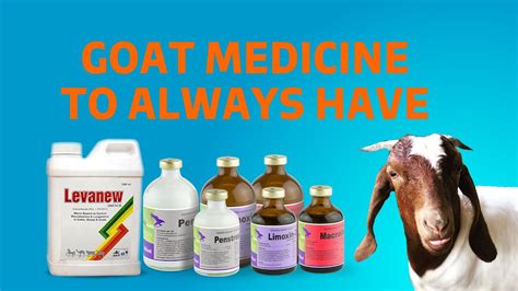 Goat Farming Medicines You Must Have At Your Goat Farm At All Times
