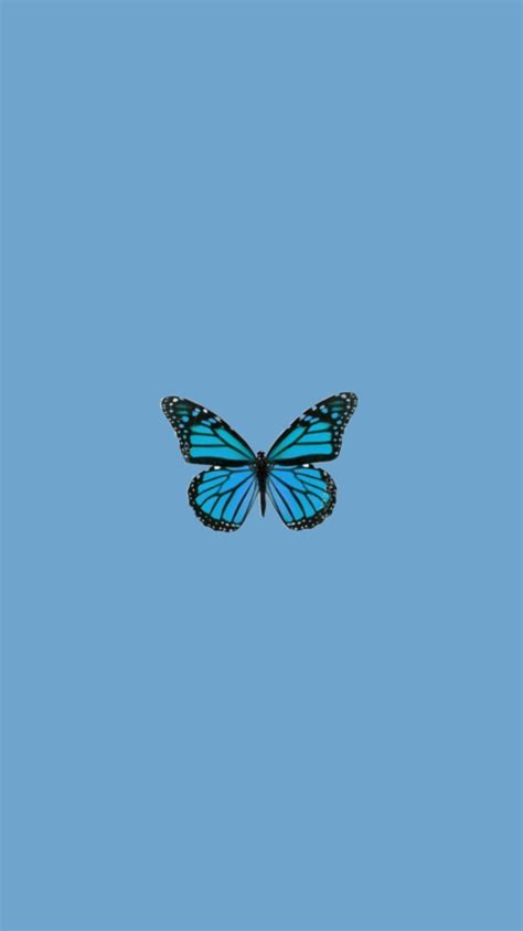 47 Blue Butterfly Profile Pic Aesthetic IwannaFile
