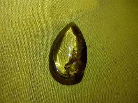 Juga memakai gelaran puteri vijaya mala, raja jembal. BLOG UTAMA Y.M PADUKA AYAHANDA PAY 8: GELIGA SUPER BERKUALITI