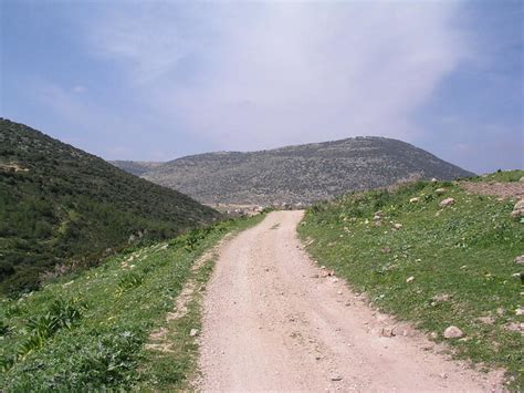 Path On Hilazon Stream Israel Revital Flickr