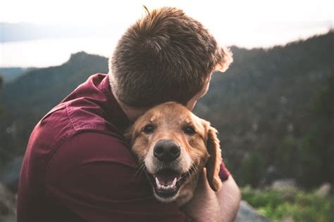 Why Do Dogs Like To Cuddle 3 Reasons Why You Should Cuddle Your Pet E