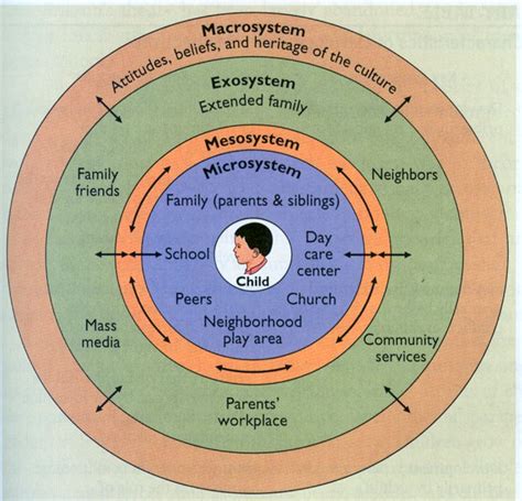 Theories Of Child Development Child Development Theories Learning