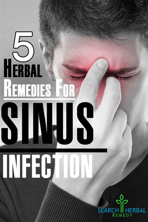5 Herbal Remedies For Sinus Infection Search Herbal And Home Remedy