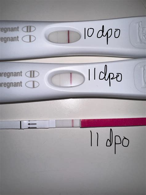 Cd 27and28 Period Due Yesterday 10dpo No Symptoms Or Period Frer And Fr