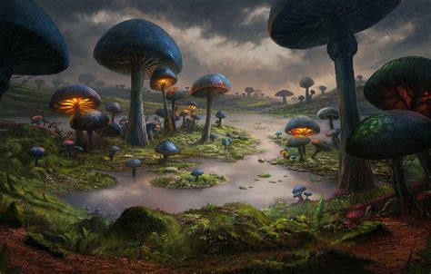 Hd Wallpapers 1920x1080 Dark Fantasy Mushrooms 240 Mushroom Hd