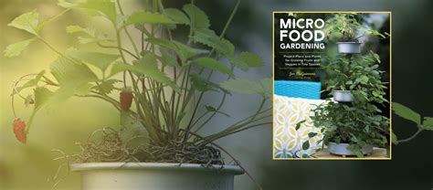 March snap benefits will be available to clients. 'Micro Food Gardening' to debut in March 2021! | Frau Zinnie