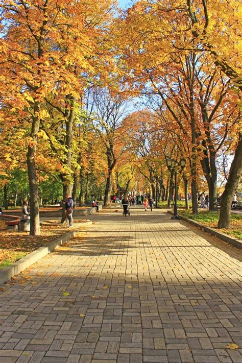 People Walk On Autumnal City Park Season Of Autumn With Yellow Foliage