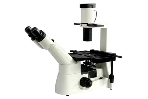 Inverted Professional Microscope