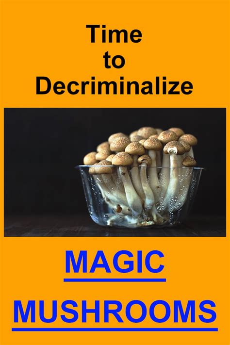 Magic Mushrooms Decriminalized In 3 Major Cities Addict Help