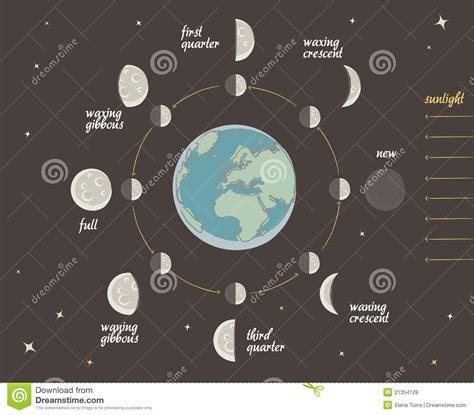 De Les Van De Astronomie De Fasen Van De Maan Vector Illustratie