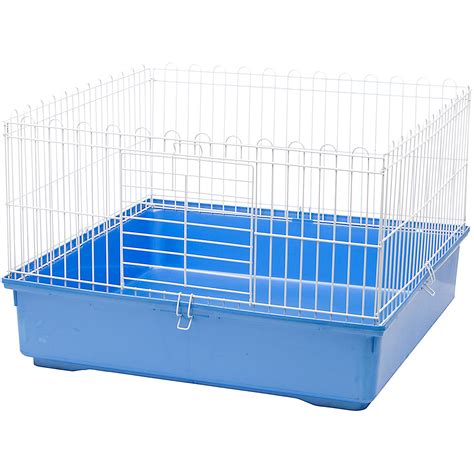 Guinea Pig Cages For Two Bruin Blog