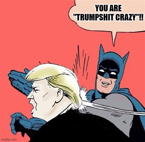 Trumps Not Batshit Crazy Imgflip