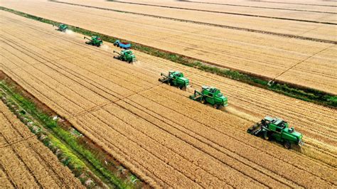 Não Pode Ser Indicada Como Característica Básica Da Agricultura Moderna