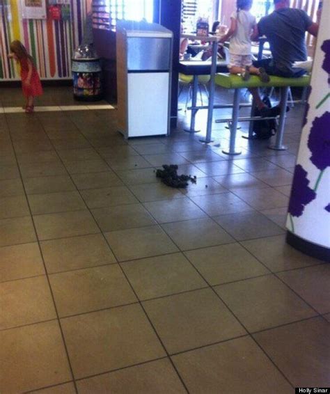 We did not find results for: Woman Lets Horse Soil McDonalds Floor In Protest Over ...