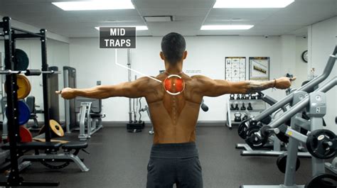 How To Fix Rounded Shoulders In 10 Minutes Science Based Routine In